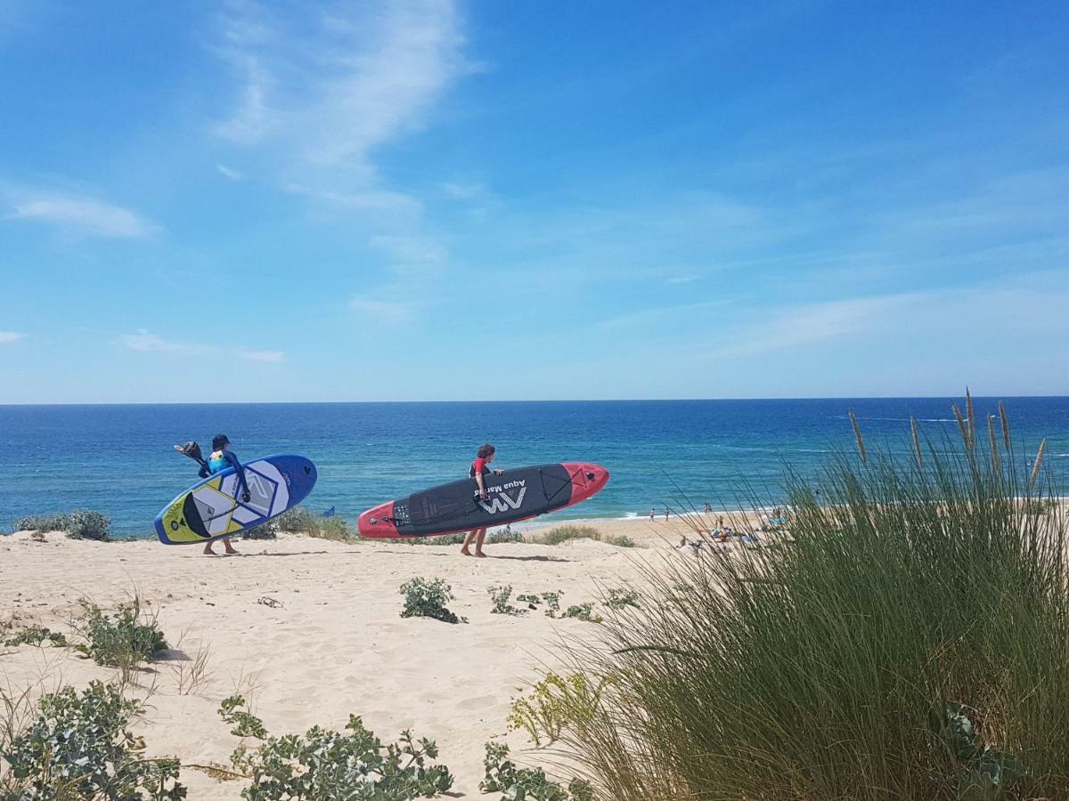 La Pinede Oceane,400M Des Plages Mimizan-Plage Eksteriør billede