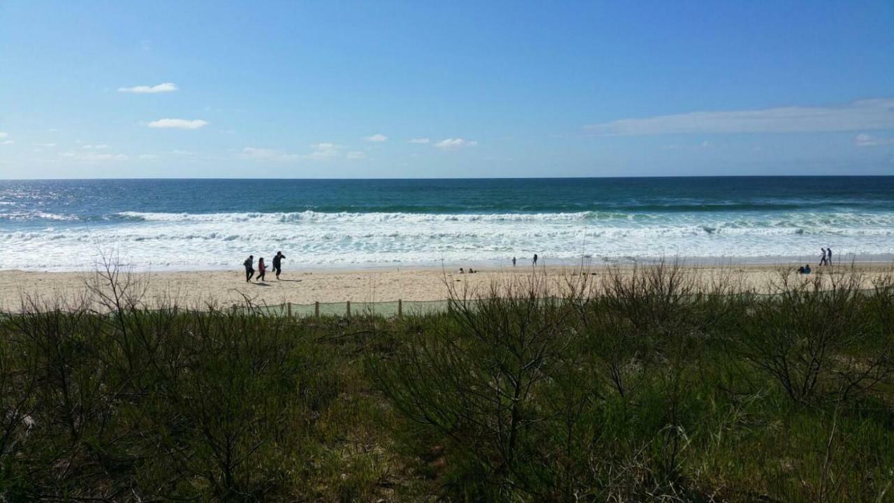 La Pinede Oceane,400M Des Plages Mimizan-Plage Eksteriør billede