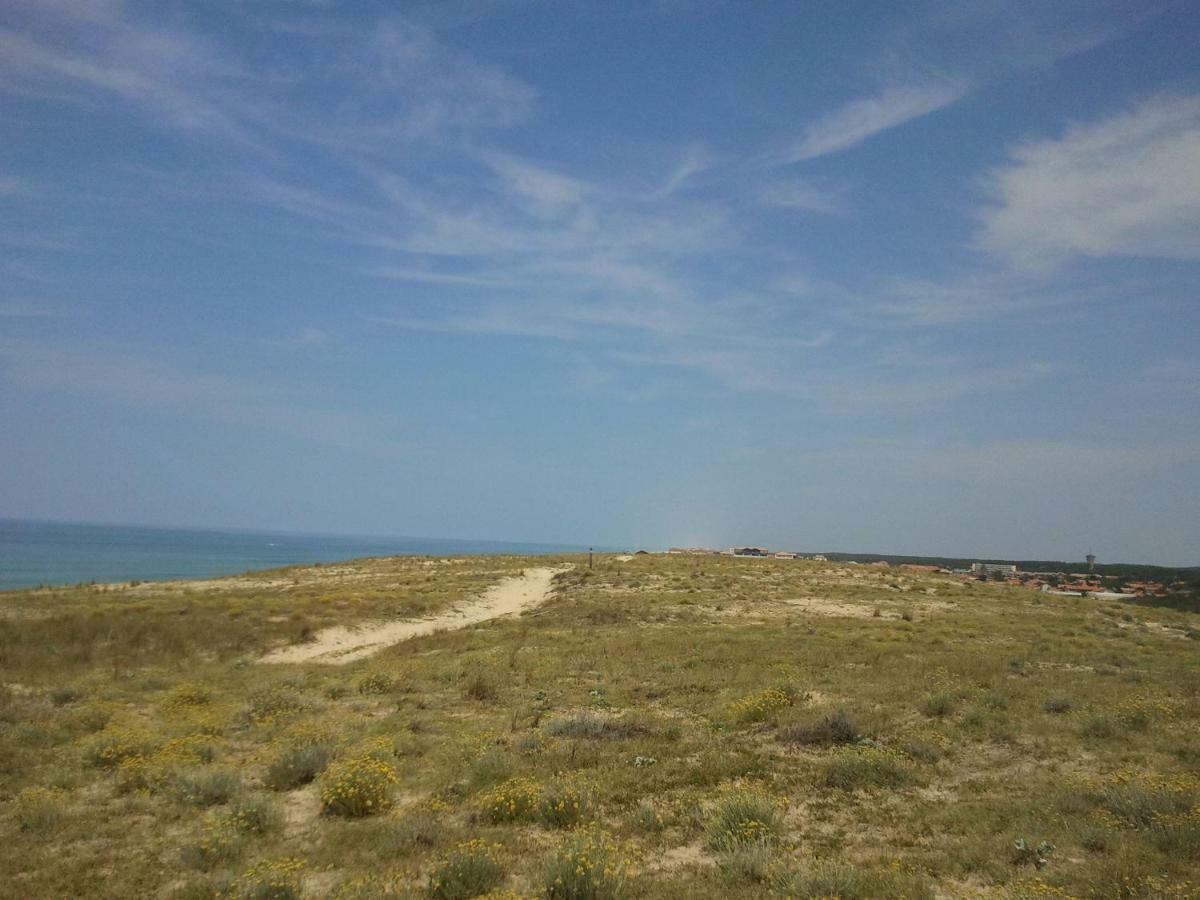 La Pinede Oceane,400M Des Plages Mimizan-Plage Eksteriør billede